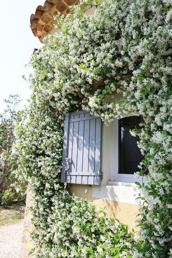 Bastide Magnolia - Les Dependances, Roussillon Villa Roussillon  Bagian luar foto